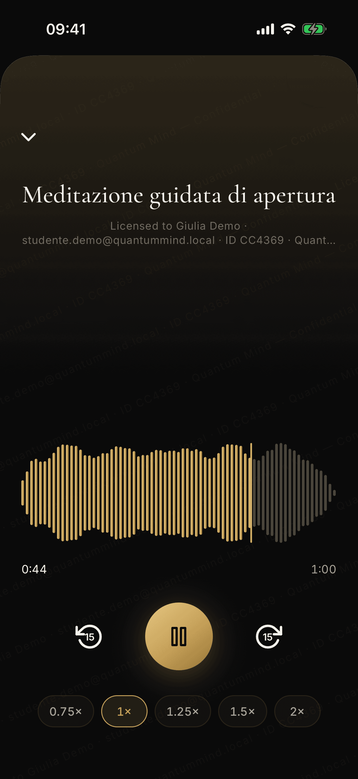 The full-screen audio player, with the waveform, the controls and the listening speed.